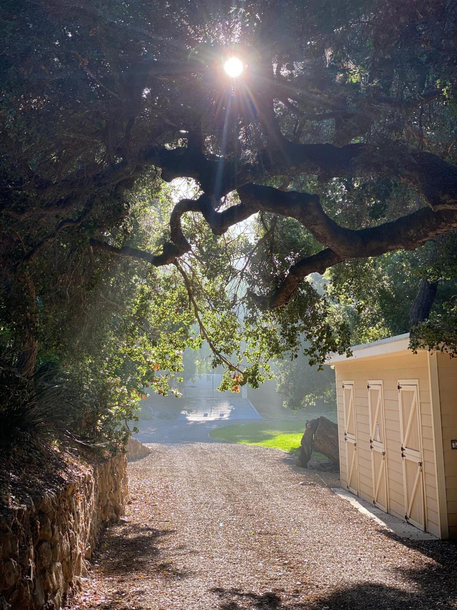 Malibu Ranch Guest House Hideway المظهر الخارجي الصورة